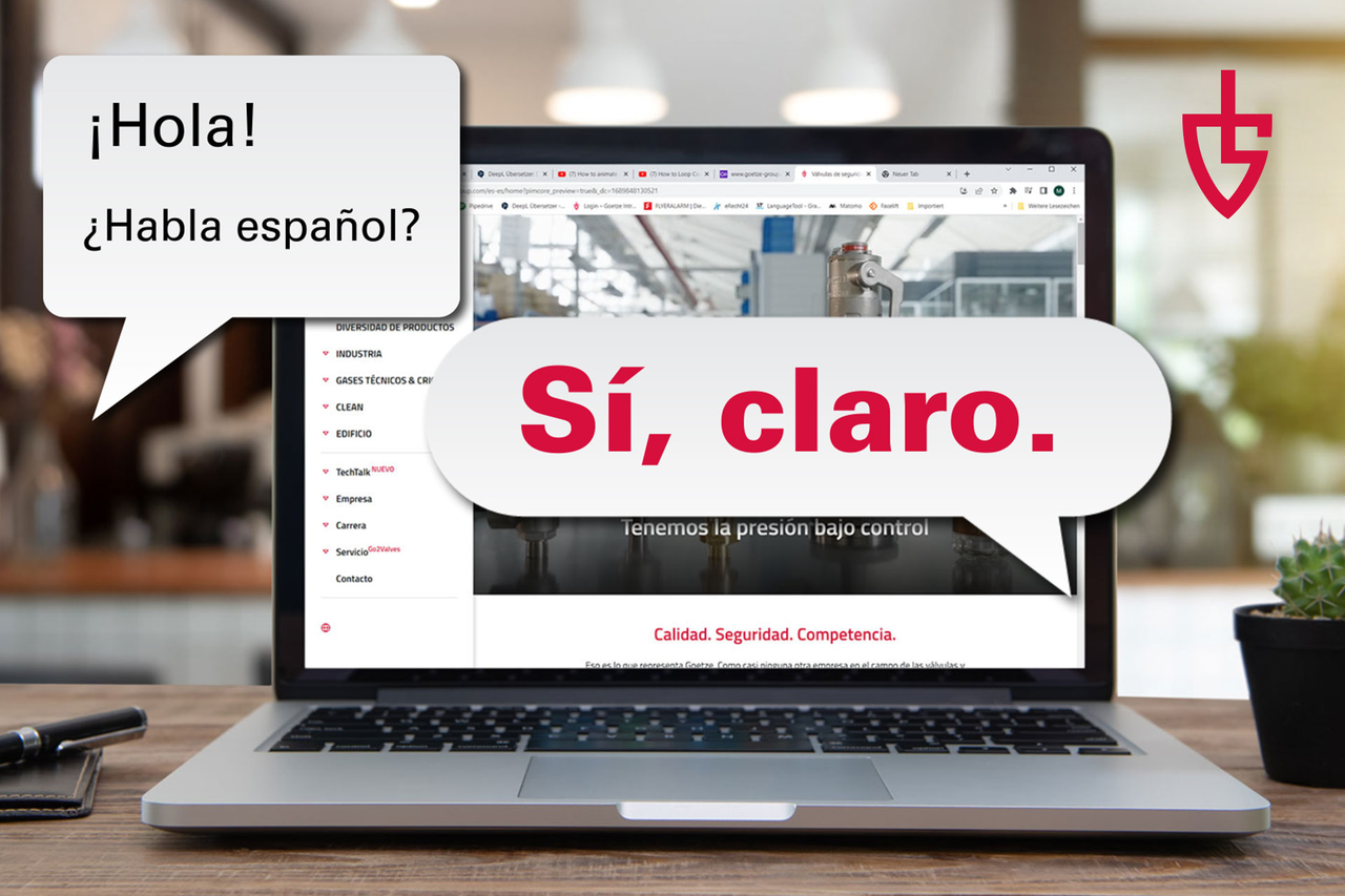 Company website en español